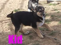 processed/96a9208e-0db9-451e-8630-d87ef0f00e4e/listing/fb244872-f8e4-4b69-81e0-bea513616274/0a4d496d-10a1-4f14-930f-b7abcb5eee95