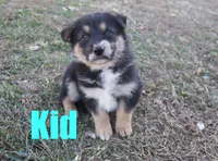 processed/96a9208e-0db9-451e-8630-d87ef0f00e4e/listing/fb244872-f8e4-4b69-81e0-bea513616274/11ae95ea-7345-4d9d-9025-25dbee7c0822