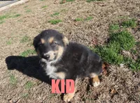 processed/96a9208e-0db9-451e-8630-d87ef0f00e4e/listing/fb244872-f8e4-4b69-81e0-bea513616274/6ef46a88-13d7-4096-aa03-810377487f95