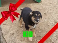 processed/96a9208e-0db9-451e-8630-d87ef0f00e4e/listing/fb244872-f8e4-4b69-81e0-bea513616274/8072b58f-5e1a-4914-a368-3a827752f864