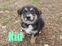 processed/96a9208e-0db9-451e-8630-d87ef0f00e4e/listing/fb244872-f8e4-4b69-81e0-bea513616274/d758b967-3362-4f3a-b8a7-bdb7a4cd619e