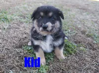 processed/96a9208e-0db9-451e-8630-d87ef0f00e4e/listing/fb244872-f8e4-4b69-81e0-bea513616274/f8c2a3f8-5295-41c2-b2d8-872a32b6c7b1