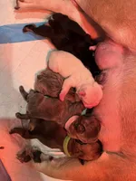 processed/96b5cda5-36eb-4316-803c-e890f5e1ffd5/facility/0adeca09-4bbc-4d7e-b505-6d111cfe6a4a