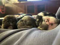 processed/96b5cda5-36eb-4316-803c-e890f5e1ffd5/facility/612c66d5-bf07-42de-abb4-8dd368bf5930