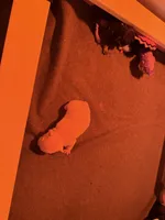 processed/96b5cda5-36eb-4316-803c-e890f5e1ffd5/facility/78334f0d-2bce-4bfe-b2e3-d0cfd3253408