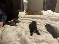 processed/96b5cda5-36eb-4316-803c-e890f5e1ffd5/facility/edec5765-3c1c-449d-804a-aee6340392df