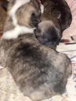 processed/96c5518a-0491-4a8e-8cb5-26d6f199f62e/listing/abdfb258-ef20-4201-98f5-c15a24217ece/c324a315-41cf-42e9-bd17-8cce301fa8dc