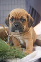 processed/96cc8f8a-dda1-4f81-9abb-246195f0cb76/facility/04c40bba-c832-4f14-a836-e4fde9a410a7