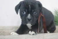 processed/96cc8f8a-dda1-4f81-9abb-246195f0cb76/facility/6e5c4222-930d-4766-a3d4-7625ff2d19c2