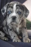 processed/96cc8f8a-dda1-4f81-9abb-246195f0cb76/facility/7b1f1721-f7b9-43c6-ad8f-903c1925fc57