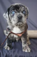 processed/96cc8f8a-dda1-4f81-9abb-246195f0cb76/facility/88717b62-7983-4ca9-a685-76b22450500e