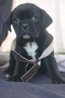 processed/96cc8f8a-dda1-4f81-9abb-246195f0cb76/facility/9291d912-26f7-4c51-9b17-abdb54a913a2