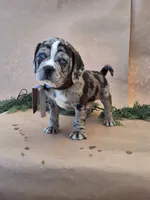 processed/96cc8f8a-dda1-4f81-9abb-246195f0cb76/facility/aea7cde2-4865-4153-81b8-ce01cf44aa67