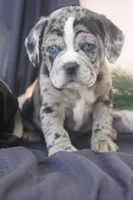 processed/96cc8f8a-dda1-4f81-9abb-246195f0cb76/facility/edecd459-3015-4302-8c20-f80f3a046650