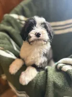 processed/96ce1500-6646-43fd-9d86-971c6d234c2b/listing/1c56dff0-944f-49ca-9a6e-2d5fc0744bfb/0c7cf0dc-27e6-4874-8fb4-c924a4f534ec