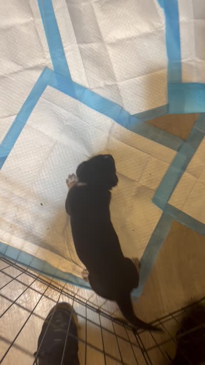 Facility video