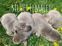 processed/96d272f8-f5d4-4798-bc02-7594a550b893/facility/002909d4-5626-4527-91d5-566461e6fd94