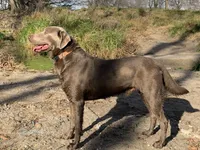 processed/96d272f8-f5d4-4798-bc02-7594a550b893/facility/34a03acf-064a-4109-ab68-1752d833eccd