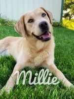 processed/96d272f8-f5d4-4798-bc02-7594a550b893/facility/a617b004-defd-40b2-8e96-4c48297134e4