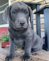 processed/96d272f8-f5d4-4798-bc02-7594a550b893/facility/dd43098e-9505-45b1-9ff4-ad6a2b54902d