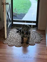 processed/96d272f8-f5d4-4798-bc02-7594a550b893/facility/deebe9e0-3793-46c1-a409-b261d62d720e