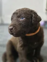 processed/96d3c83a-f3b1-425d-9aa3-b8de63a5712f/listing/76b8190d-ae10-4b7f-b188-6ce17f3a02bd/05d28159-02a1-4016-b9e8-3ea5a384e1be