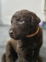 processed/96d3c83a-f3b1-425d-9aa3-b8de63a5712f/listing/76b8190d-ae10-4b7f-b188-6ce17f3a02bd/082fe316-7d98-435a-9742-86a4c30715b4