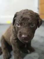 processed/96d3c83a-f3b1-425d-9aa3-b8de63a5712f/listing/76b8190d-ae10-4b7f-b188-6ce17f3a02bd/7160bdc6-910b-46cf-9be0-9c4265aa7ef6