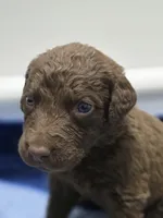 processed/96d3c83a-f3b1-425d-9aa3-b8de63a5712f/listing/932e8f6f-4f1a-42d2-a9c2-094d0bf9d800/271d12c9-a4a4-4826-ba0c-32836a64319d