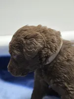 processed/96d3c83a-f3b1-425d-9aa3-b8de63a5712f/listing/932e8f6f-4f1a-42d2-a9c2-094d0bf9d800/4fd9d9e6-a8e0-4bb7-bd4e-d57e4a526e4a