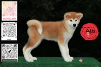 processed/96e195da-2d43-46da-9d33-39d9381eaff2/listing/8aa12f61-8032-4ff5-bd15-25aab38b3153/dd60d0ad-6557-4bfb-aef1-860bc53976f4