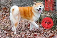 processed/96e195da-2d43-46da-9d33-39d9381eaff2/listing/8e1840ad-1887-4d4f-ab8a-af3564e2060d/a25328b8-6030-4b84-b5ee-1ac4bf509ac9