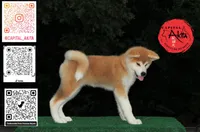 processed/96e195da-2d43-46da-9d33-39d9381eaff2/listing/a0de8621-68c6-49df-8767-9aebb73dc675/0a99c5fe-6c77-4329-82f3-38c65ae22590