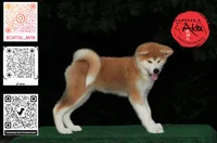 processed/96e195da-2d43-46da-9d33-39d9381eaff2/listing/a0de8621-68c6-49df-8767-9aebb73dc675/300ee252-3d78-44bb-99fa-2a51cee76a81