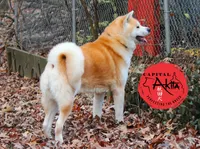 processed/96e195da-2d43-46da-9d33-39d9381eaff2/listing/ae39765a-d96e-401a-aa81-9667dd05cd8e/6144425b-9e15-4572-b455-5788c210bb86