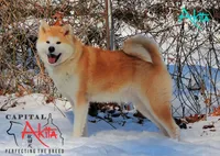 processed/96e195da-2d43-46da-9d33-39d9381eaff2/listing/ae39765a-d96e-401a-aa81-9667dd05cd8e/7557789f-0536-4e9f-97ac-676aec2f40fa