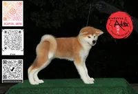 processed/96e195da-2d43-46da-9d33-39d9381eaff2/listing/ae39765a-d96e-401a-aa81-9667dd05cd8e/ff8d0a6e-0d23-4bcc-bcd5-9bfda7183d4f