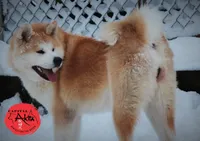 processed/96e195da-2d43-46da-9d33-39d9381eaff2/listing/d2317135-646d-4080-85cd-1f791669b4aa/7453fec0-7079-4427-a6ba-bc907e457c50