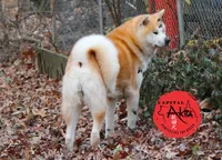 processed/96e195da-2d43-46da-9d33-39d9381eaff2/listing/d2317135-646d-4080-85cd-1f791669b4aa/bb25927d-86a0-436b-8ac4-562554707f0b