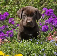 processed/96e7b9da-f2f5-4f07-ae74-3ef02c1deadf/facility/125ceb08-a652-4ce6-95a3-75ff67b1948b