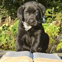 processed/96e7b9da-f2f5-4f07-ae74-3ef02c1deadf/facility/2ebc0c1f-2cdd-4a07-8657-427db7d6b077