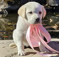 processed/96e7b9da-f2f5-4f07-ae74-3ef02c1deadf/facility/75c95dec-c409-4fd6-9fee-556f28b94dd5