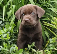 processed/96e7b9da-f2f5-4f07-ae74-3ef02c1deadf/facility/973d459b-d51f-432c-8b6a-8f9ec1e41737