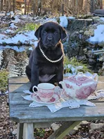 processed/96e7b9da-f2f5-4f07-ae74-3ef02c1deadf/facility/bbd58324-a20f-4330-b949-9be4f498a088