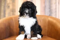 processed/96ee2515-1cea-45c3-bd47-12401eb0fe6b/listing/6e4d470d-d20c-4cb5-a1ac-956f4621b690/3060e642-676e-4b29-8ecd-92dc23b59ace