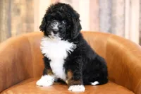 processed/96ee2515-1cea-45c3-bd47-12401eb0fe6b/listing/6e4d470d-d20c-4cb5-a1ac-956f4621b690/75e35c57-4fd2-4286-8fae-79a2c9237748