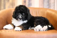 processed/96ee2515-1cea-45c3-bd47-12401eb0fe6b/listing/6e4d470d-d20c-4cb5-a1ac-956f4621b690/b4b9bb9a-fdde-4a1f-b6a2-9c4b06d8640f