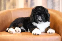 processed/96ee2515-1cea-45c3-bd47-12401eb0fe6b/listing/6e4d470d-d20c-4cb5-a1ac-956f4621b690/d7566a7f-bb37-4b8c-96ea-cf16d9f09a15