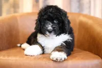 processed/96ee2515-1cea-45c3-bd47-12401eb0fe6b/listing/6e4d470d-d20c-4cb5-a1ac-956f4621b690/dc278aa7-3e72-4922-a70b-036c4711b2f7