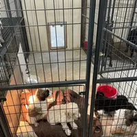 processed/96fd71ed-4924-4f2b-9aa8-92b5d9d5cd57/facility/e17887f4-1338-4868-9a09-6bac07eb0882